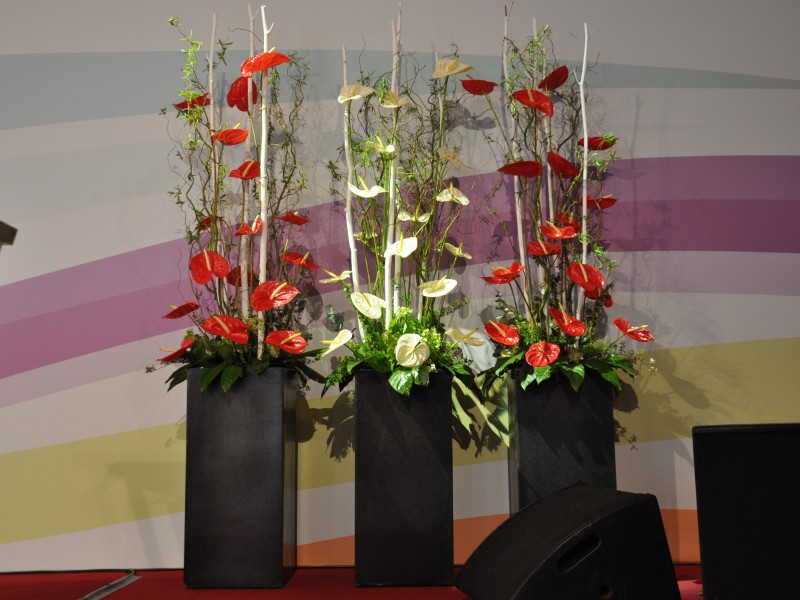 Toifl Blumen