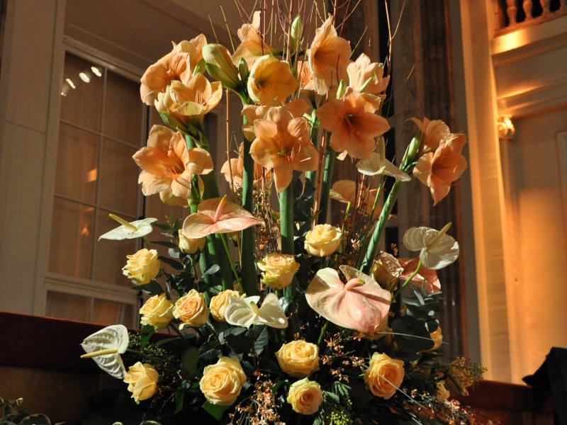 Toifl Blumen