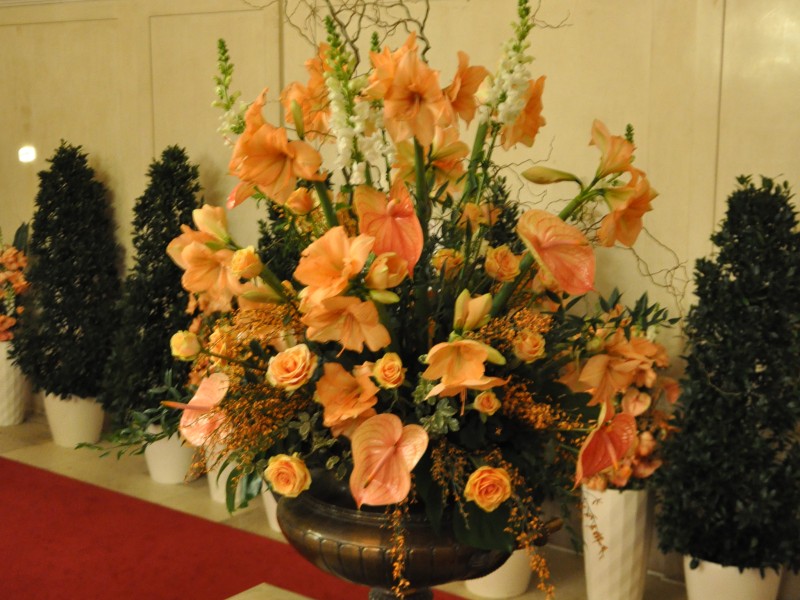 Toifl Blumen