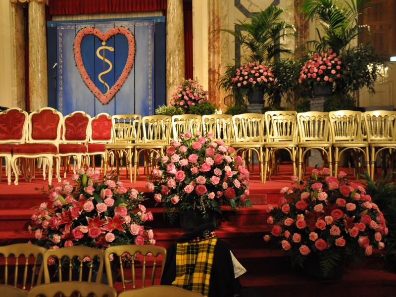 Toifl Blumen