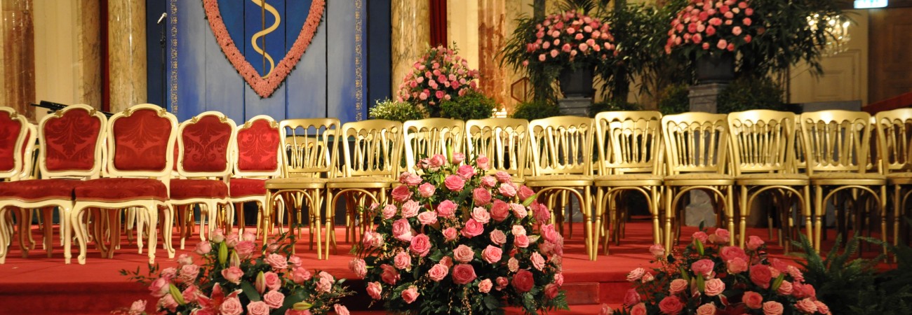 : Toifl Blumen