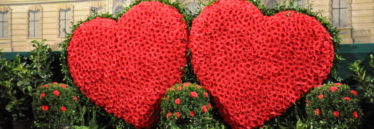 : Toifl Blumen