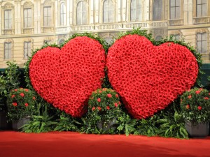 : Toifl Blumen