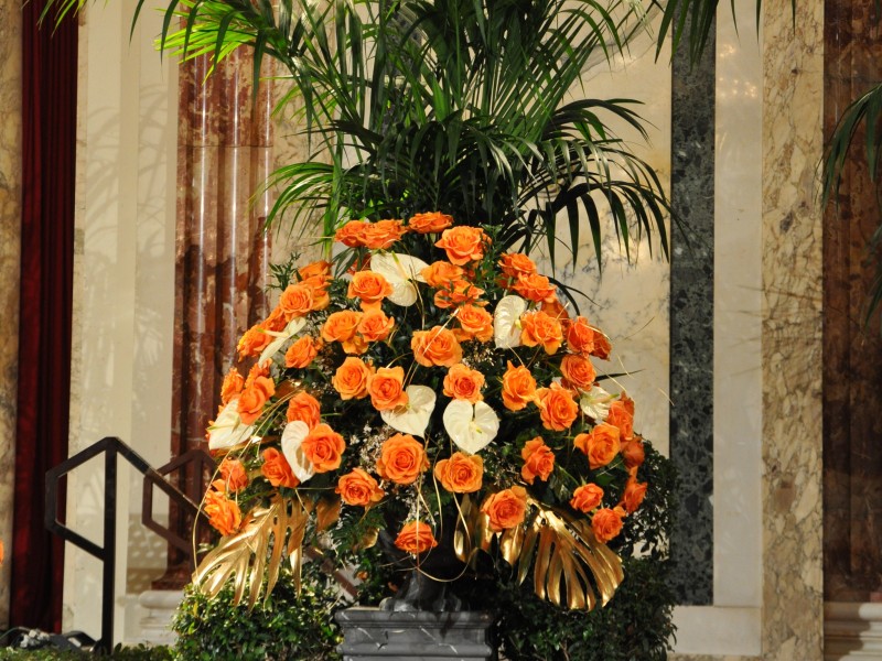 Toifl Blumen